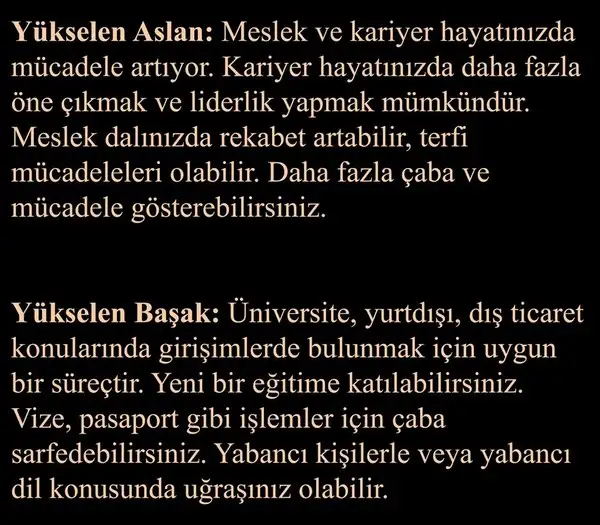 b2 (4).webp