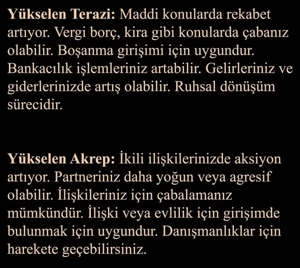 b2 (5).webp