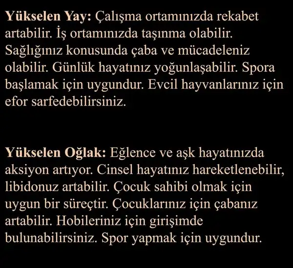 b2 (6).webp