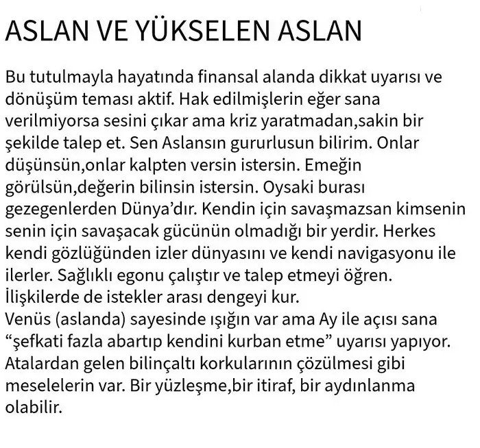 b2 (6).webp
