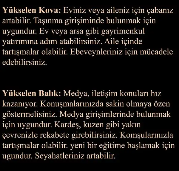 b2 (7).webp