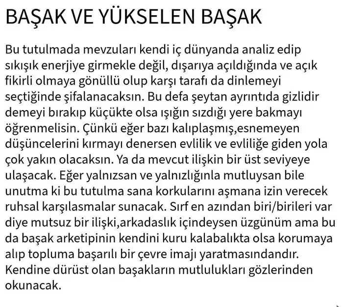 b2 (7).webp