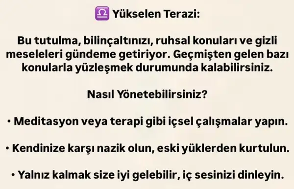 b2 (8).webp