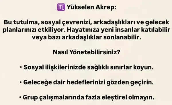 b2 (9).webp