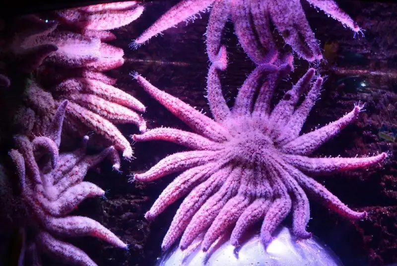 b2763ba5e06d45c78458e0b362b36f18.jpg.1000x0_q85_autocrop_crop-smart_upscale (1).webp