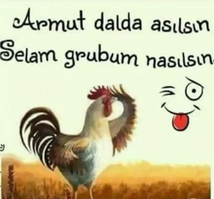 b29c209ad42cf31688550c4b79670763.webp