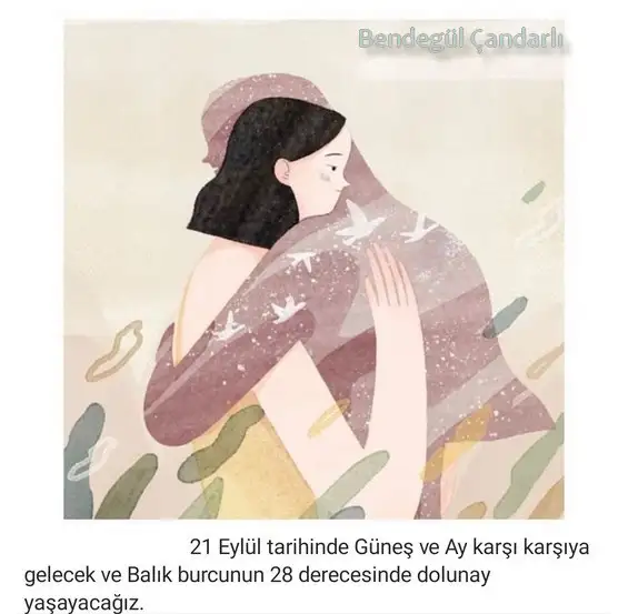 b3 (1).webp