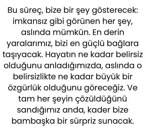 b3 (11).webp