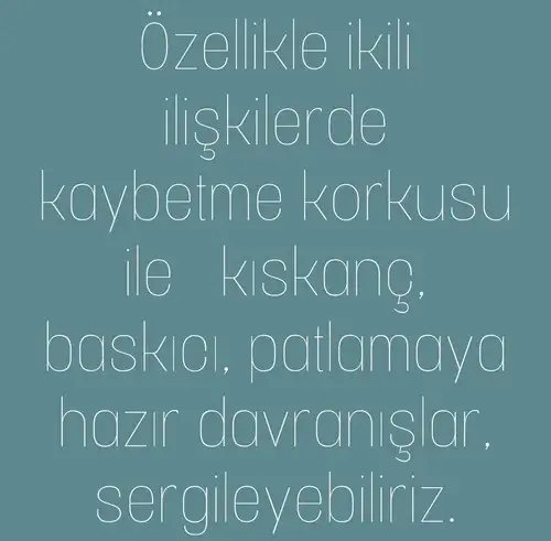 b3 (3).webp