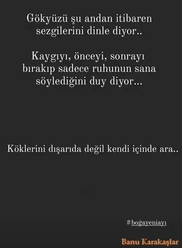 b3.webp