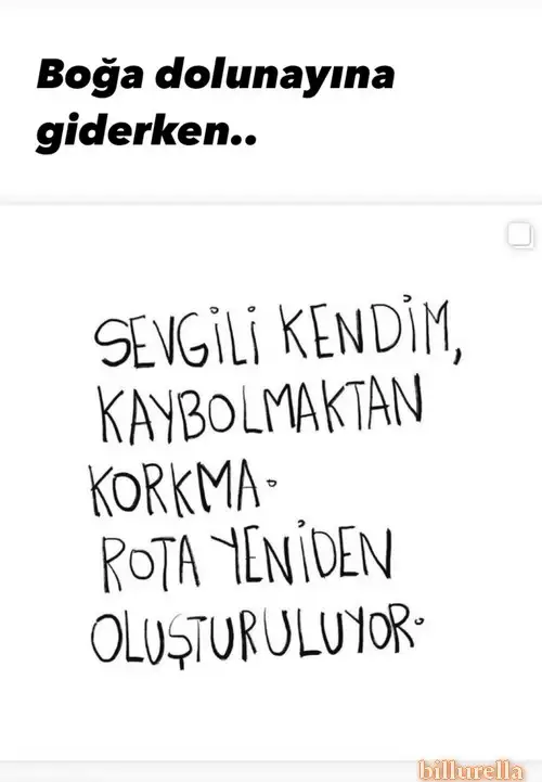 b3.webp