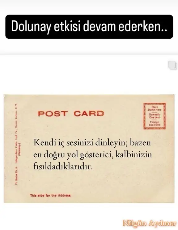 b3.webp