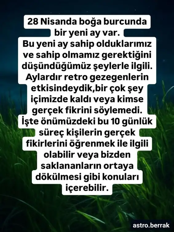 b3.webp