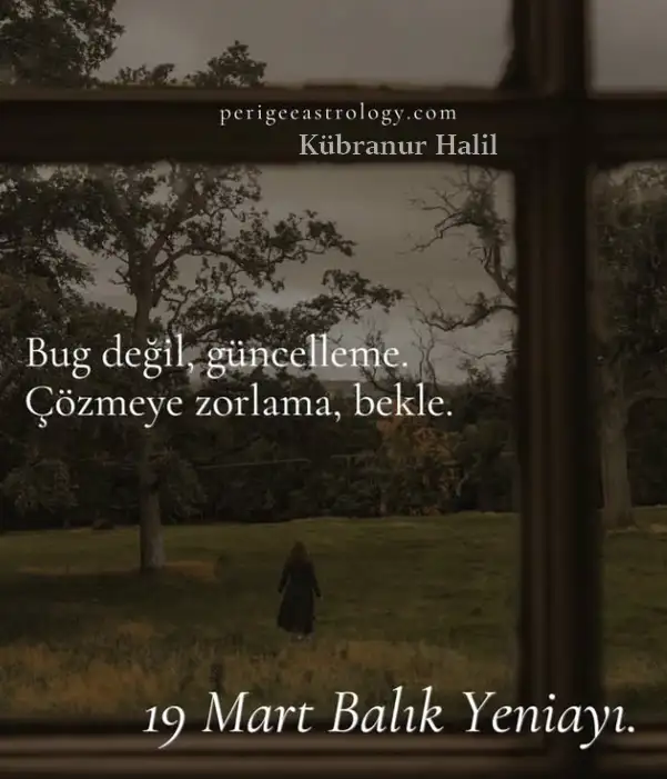 b33 (1).webp