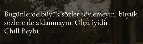 b33 (10).webp