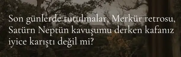 b33 (2).webp