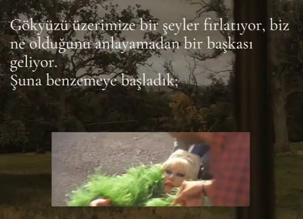 b33 (3).webp