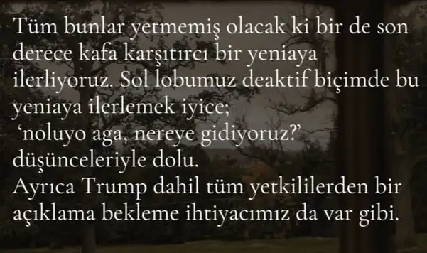 b33 (4).webp