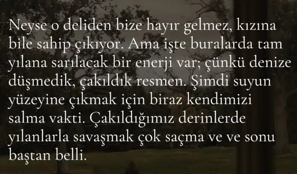 b33 (5).webp