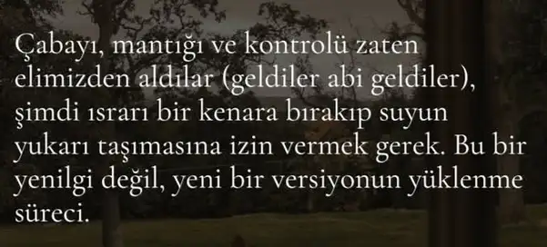 b33 (6).webp