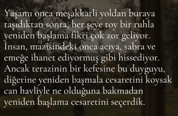b33 (7).webp