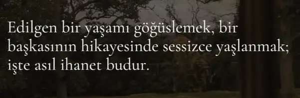 b33 (8).webp