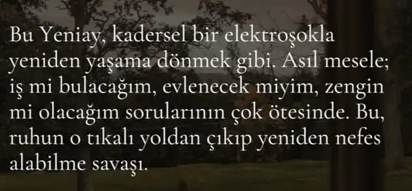 b33 (9).webp