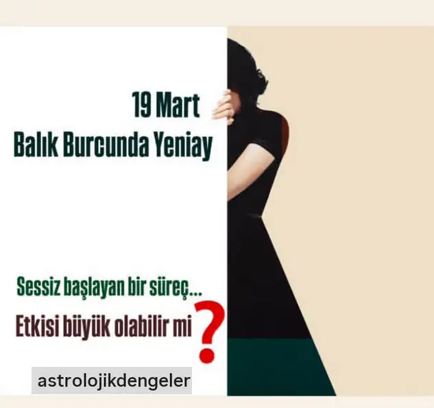 b34 (1).webp
