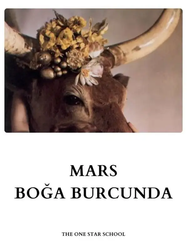 b4 (1).webp