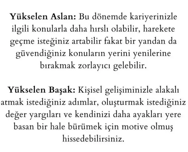 b4 (4).webp