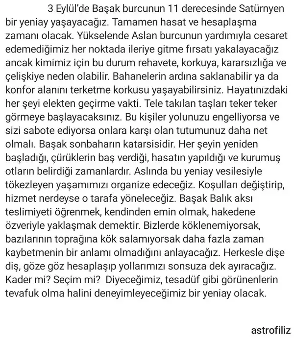 b4.webp