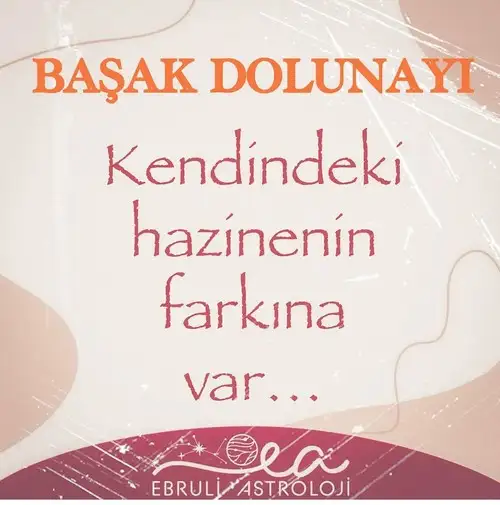 b5 (1).webp