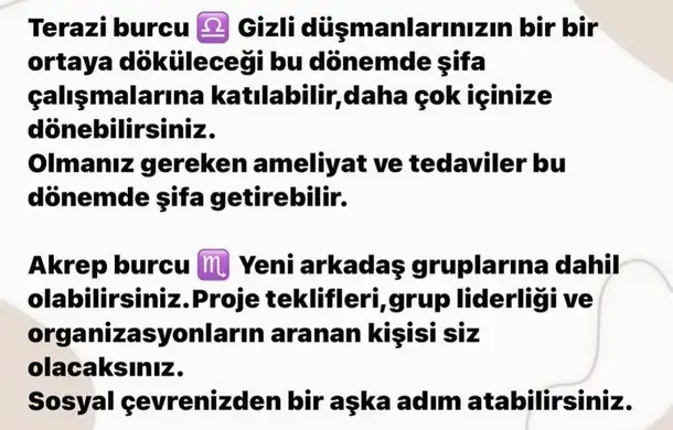 b5 (5).webp
