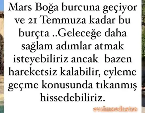 b5.webp