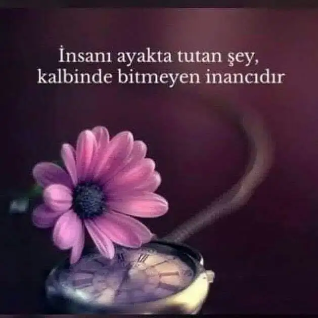 b5781952a8b140ea71d444ca83fb8f9a.webp