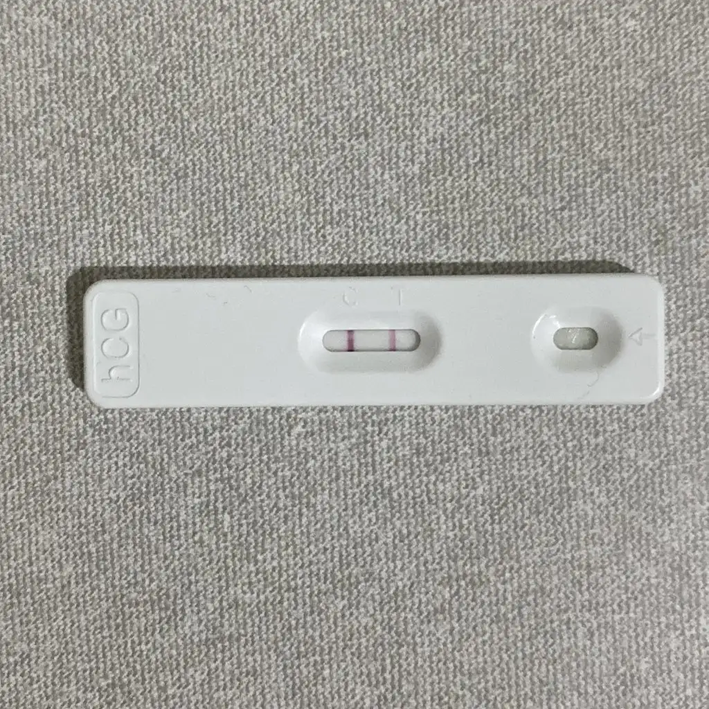 B5944089-DA1D-4970-9B94-AD74C6883074.webp