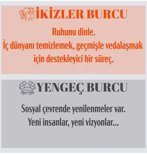 b6 (3).webp