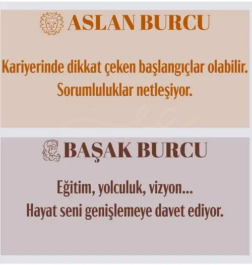 b6 (4).webp