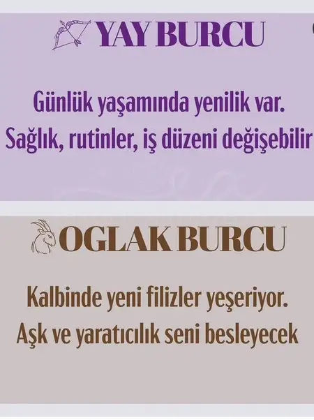 b6 (6).webp