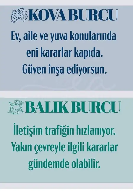 b6 (7).webp