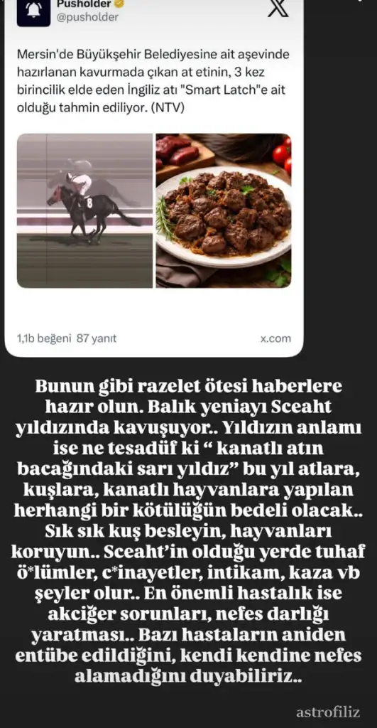 b6.webp