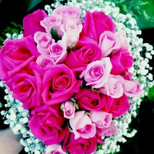 B612_2015_06_12_11_01_585bebfcbfb76b1.webp