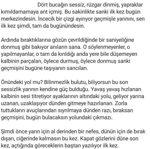 b7 (2) - Kopya.webp