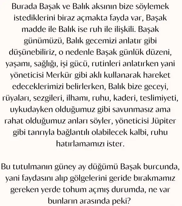 b7 (3).webp