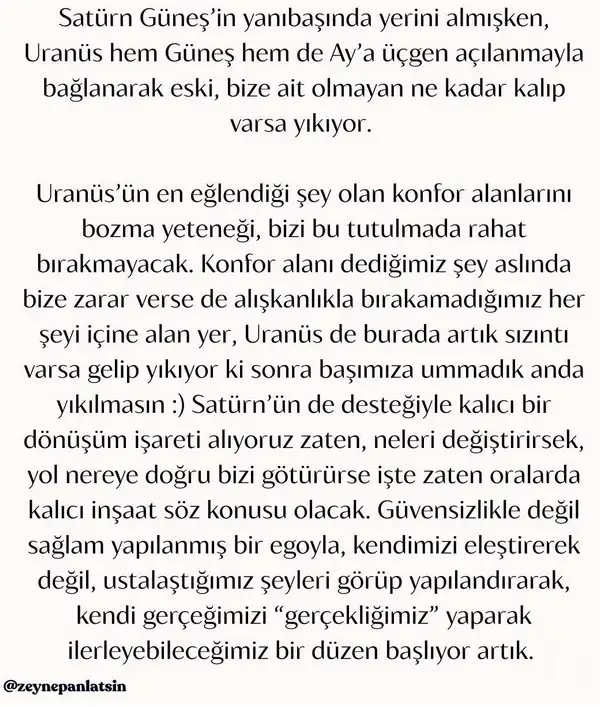 b7 (7).webp