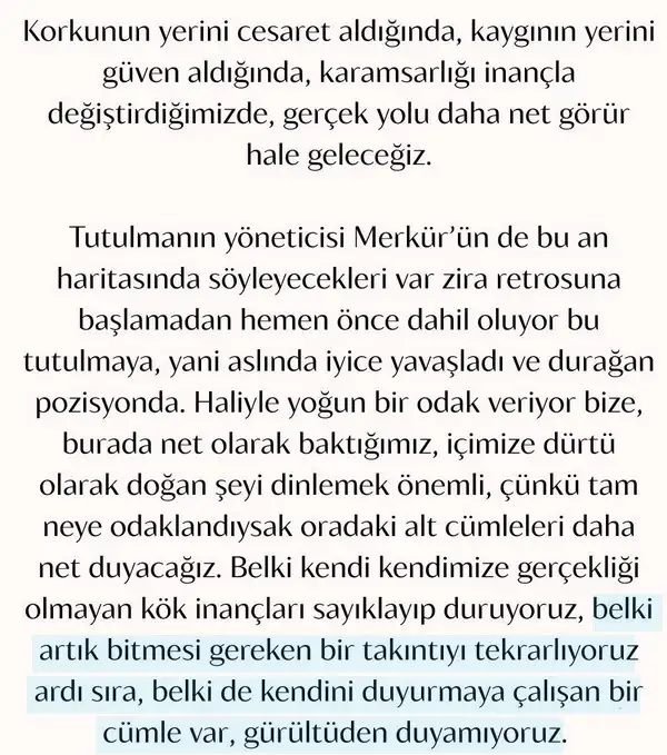 b7 (8).webp
