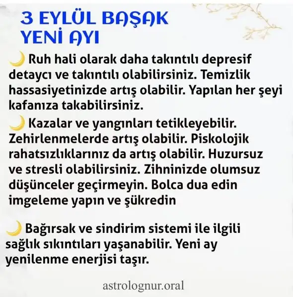 b9 (1).webp