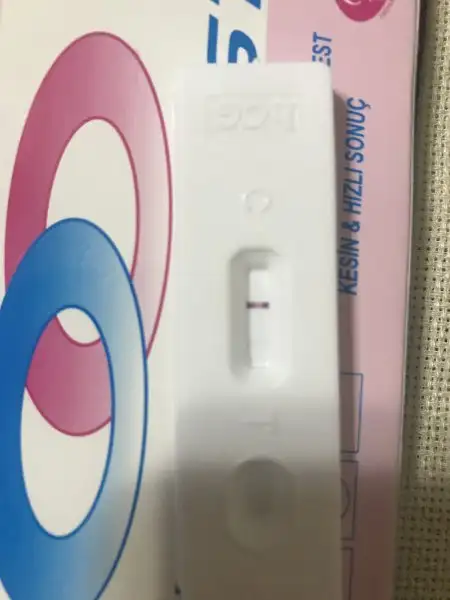 BA114AED-05DF-4E2F-AF00-B1DBF65BF74C.webp