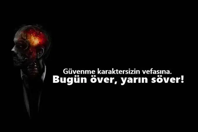 BA6F62DA-A059-4A19-97D3-999F4FC36BA5.webp