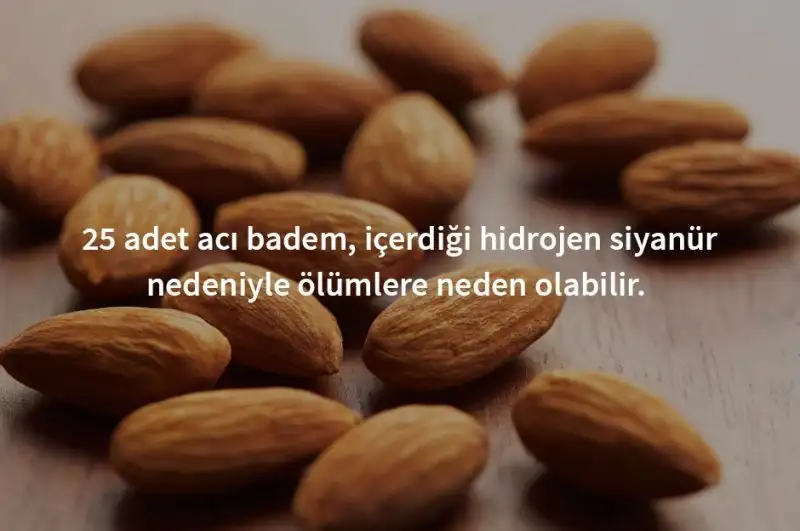 badem.webp